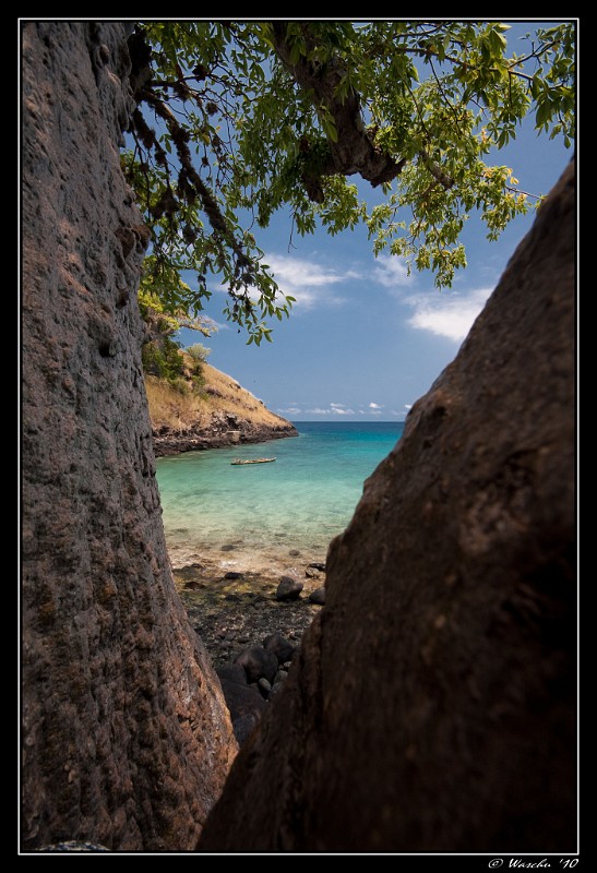 Paradise behind the trees.jpg